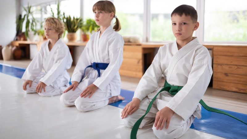 Aikido-Training-and-Safety