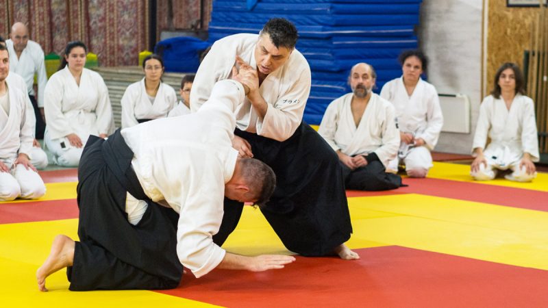 Sensei_Image03